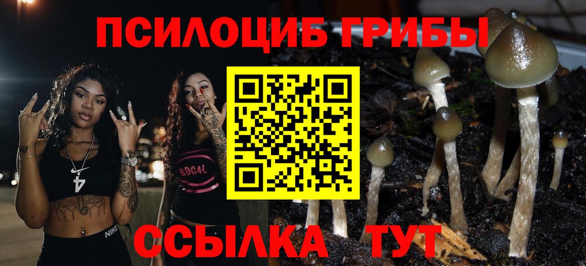 Галлюциногенные грибы прущие грибы Люберцы