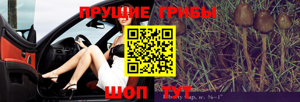 Люберцы  Галлюциногенные грибы Psilocybe  Галлюциногенные грибы ЛСД  Вход с VPN 
